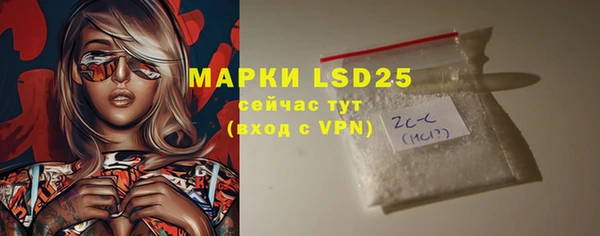 шишки Ветлуга