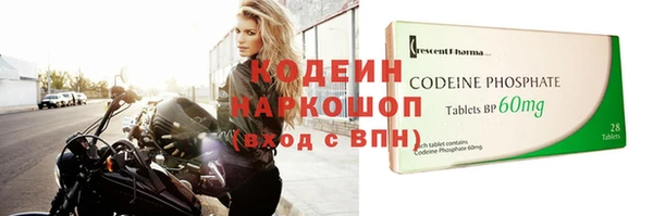 сатива Великий Новгород