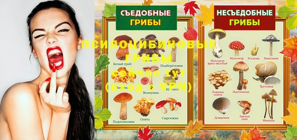 мяу мяу кристалл Всеволожск
